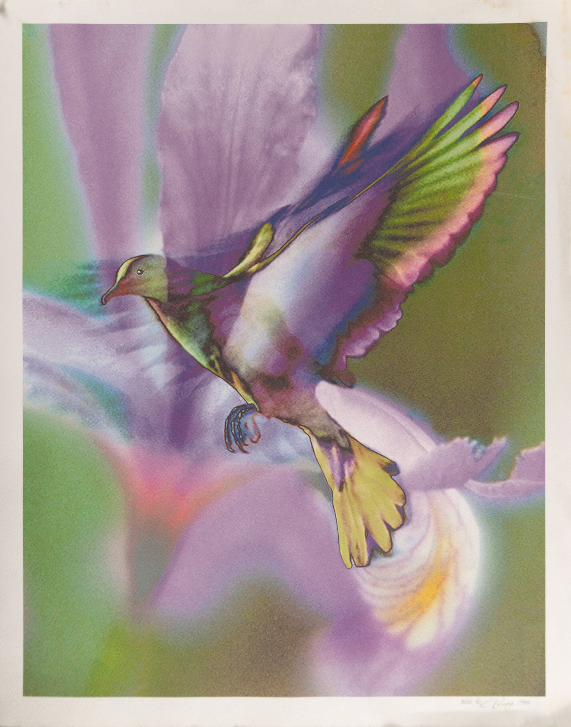 Pastel-colored; Purple iris behind a flying bird. The bird has bright green and pink wing feathers.